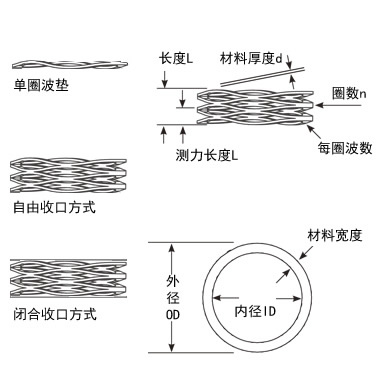 蜗转弹簧图片